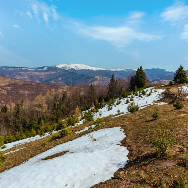 Ранней Весной Карпатские Горы Плато Пейзаж Заснеженными Вершинами Хребта Далеком — стоковое фото