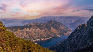 Kotor Körfezi yaz sisli manzarası yamaçtaki çam ormanı (Karadağ)