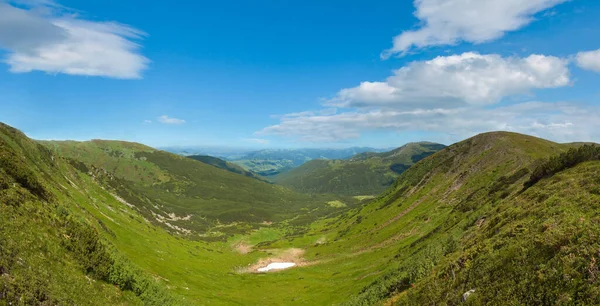 Sommer Bergwiesen Panoramablick Mit Wacholderwald Und Schnee Bleibt Auf Grat — Stockfoto