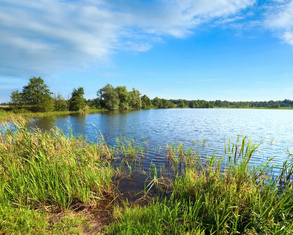 Vladimir Lake View Malými Háji Protějším Břehu Létě — Stock fotografie