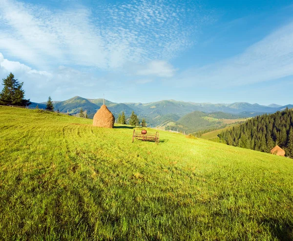 夏の山間の村は フィールド 干し草と古い芝刈り機と郊外 — ストック写真