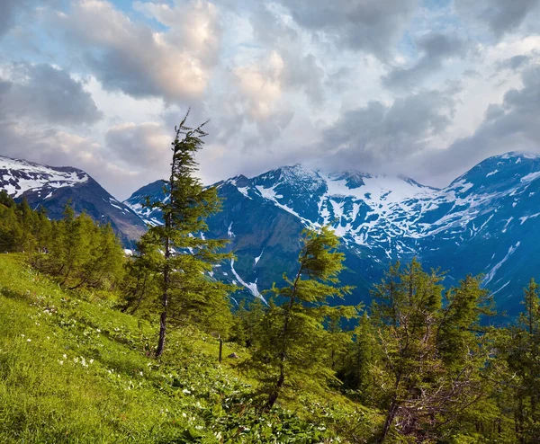 静かな夏のアルプスの山 グロースグロックナー山岳道路からの眺め — ストック写真