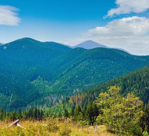 Verão Paisagem Montanha Nebulosa Com Floresta Abeto Goverla Mount Atrás — Fotografia de Stock