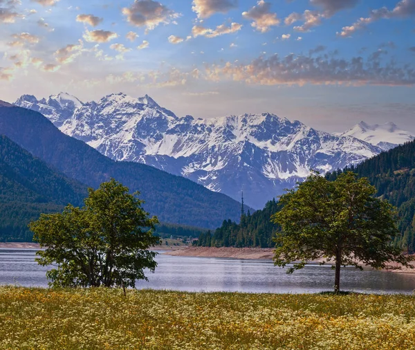 Reschensee Lake Reschen Paisagem Verão Com Prado Florescente Itália — Fotografia de Stock