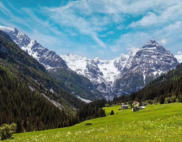 Letnia Przełęcz Stelvio Śniegiem Zboczu Góry Kwitnącą Łąką Włochy — Zdjęcie stockowe