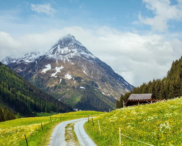 Sommer Berglandschaft Mit Blühendem Hang Und Landstraße Silvretta Alpen Österreich — Stockfoto