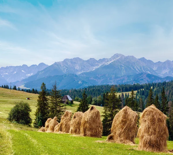 Summer Mountain Village Outskirts Haystacks Tatra Range Poland — Stock Photo, Image
