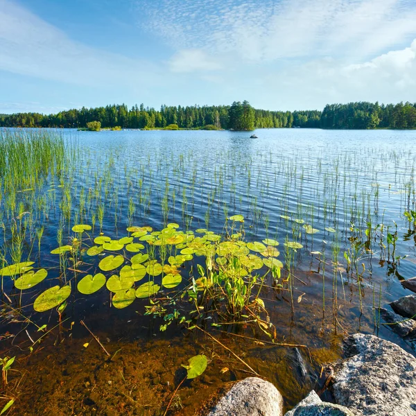 Sommarutsikt Vid Sjön Med Skog Utkanten Finland — Stockfoto