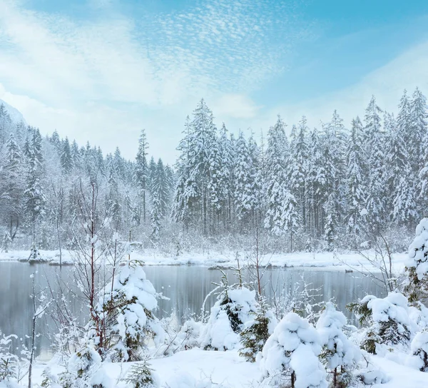 Malé Zimní Stream Zasněžené Stromy Břehu — Stock fotografie