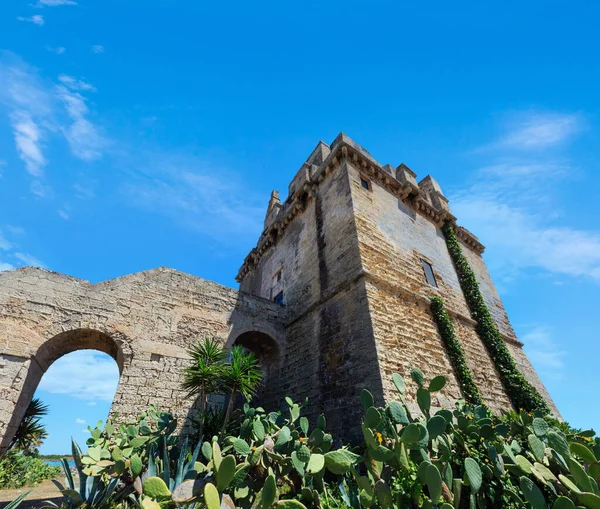 Malerischer Historischer Wehrturm Torre Colimena Der Ionischen Küste Des Salento — Stockfoto