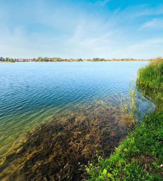 Живописное Летнее Озеро Спокойное Бурлящее Побережье Спокойная Загородная Жизнь Экологический — стоковое фото