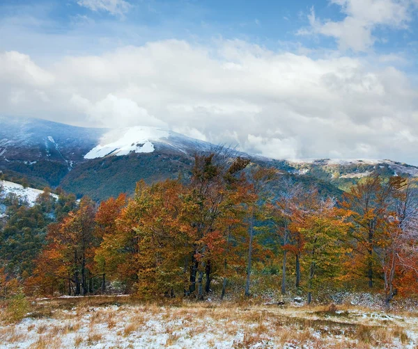 Października Podkarpacie Górski Płaskowyż Pierwsza Zima Śnieg Jesienią Kolorowych Liści — Zdjęcie stockowe