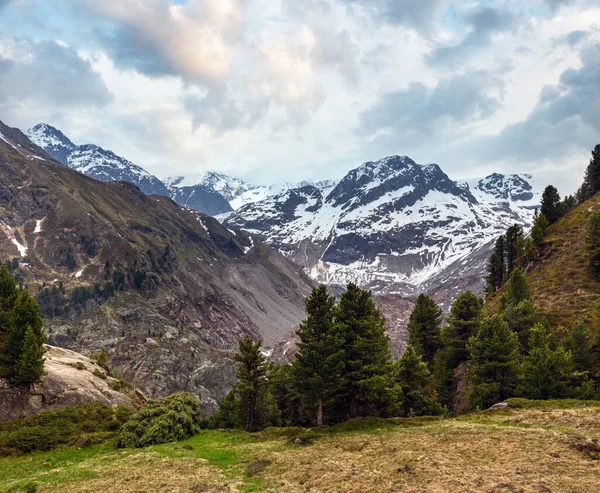 Zomer Alpen Berglandschap Oostenrijk — Stockfoto