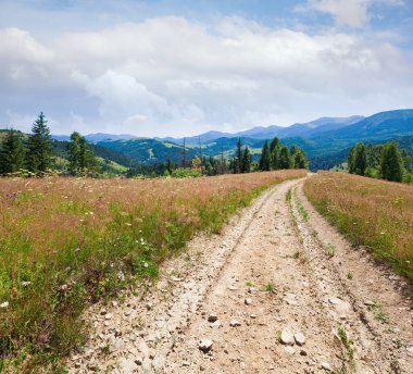akşam çiçekli otlak dağ yoluyla kirli yol