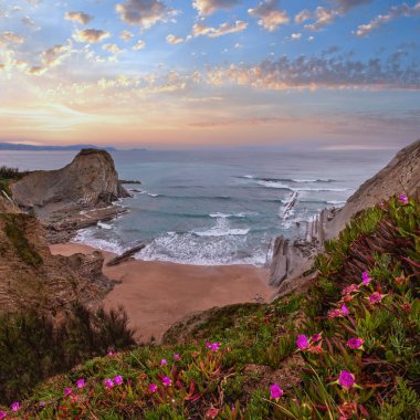 Bahar günbatımı kayalık kıyı manzarası önünde küçük kumlu plaj ve pembe çiçekler (Arnia Sahili, İspanya, Atlantik Okyanusu).