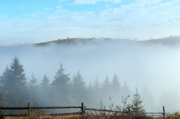 Misty Daybreak Autumn Carpathian Mountain Ukraine — Stock Photo, Image