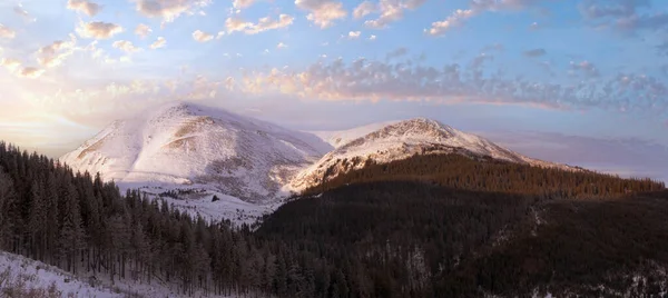 Zimowy Poranek Górski Krajobraz Ukraina Karpaty Petros Mountain — Zdjęcie stockowe