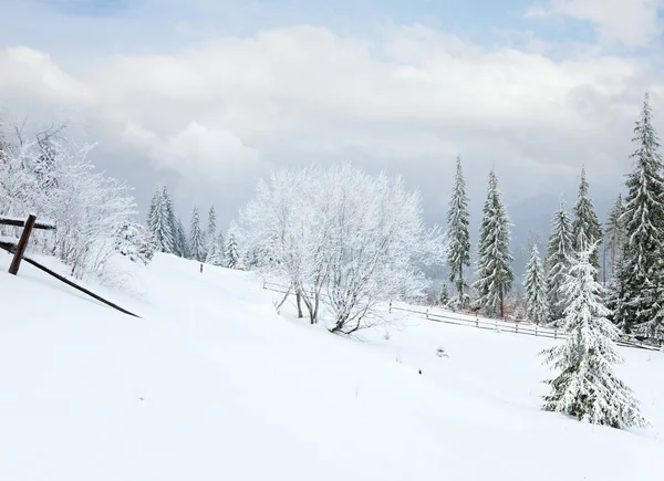 Sıkıcı Ülke Dağ Manzarası Çit Köknar Ağaçları Ile Kış — Stok fotoğraf