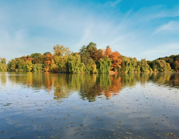 Vijver Wateroppervlak Met Weerspiegeling Van Kleurrijke Bomen Herfst Park — Stockfoto