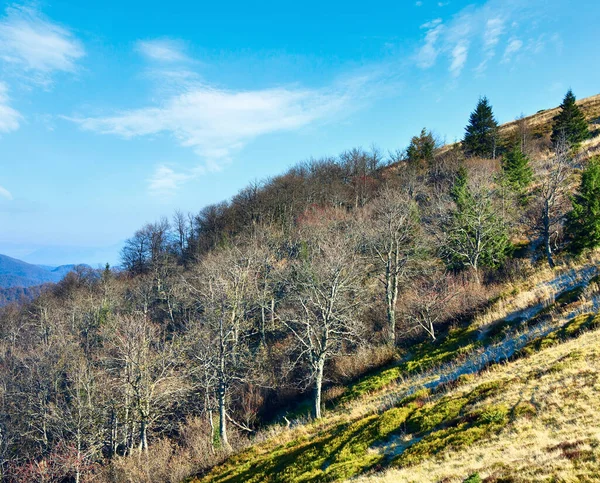 Otoño Árboles Desnudos Borde Del Bosque Montañas Los Cárpatos Ucrania — Foto de Stock