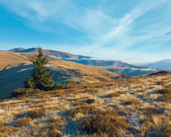 Herfst Ochtend Uitzicht Bergen Met Landweg Karpaten Oekraïne — Stockfoto