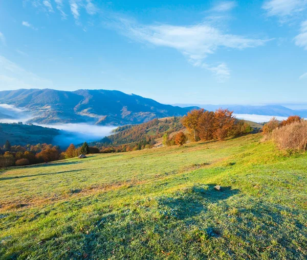 Autumn Misty Morning Mountain Hill Carpathian Ukraine — стоковое фото