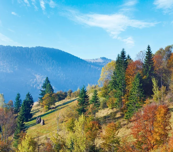 Slunečné Podzimní Horského Lesa Hory Karpatský Ukrajina — Stock fotografie