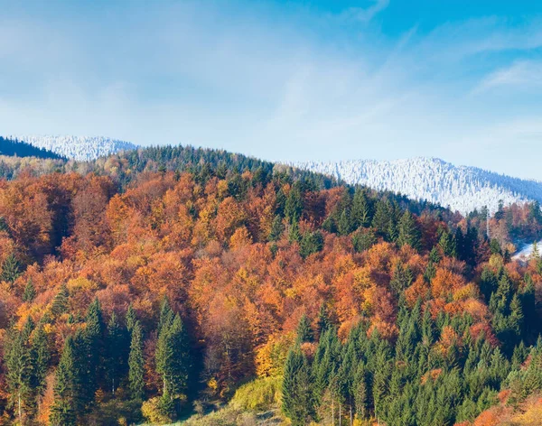 阳光明媚的秋天山地森林和 在山腰 的树顶上的白霜 喀尔巴阡 乌克兰 — 图库照片