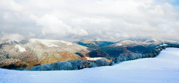 Жовтневий Гірський Буковий Ліс Першим Зимовим Снігом Восени Барвистим Листям — стокове фото