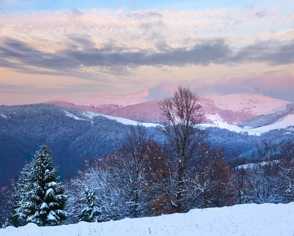 Inverno Tramonto Paesaggio Montano Con Foresta Innevata Luna Sul Cielo — Foto Stock
