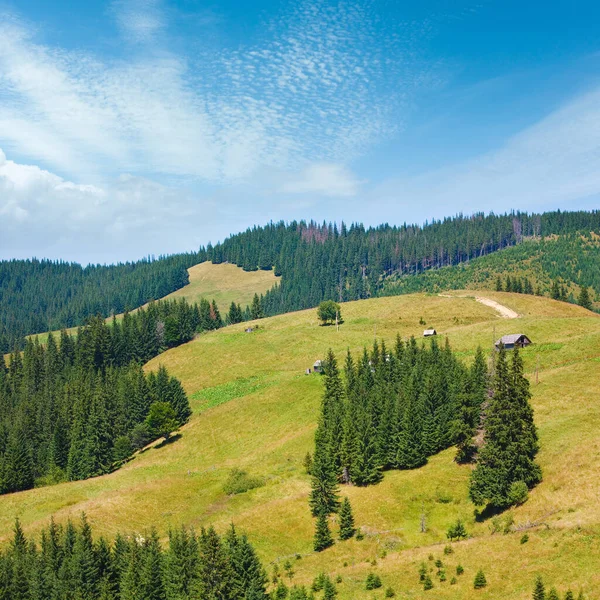 Літній Гірський Сільський Пейзаж Шинкою Вершині Пагорба — стокове фото