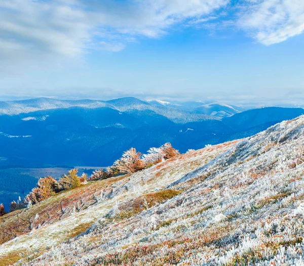 Octubre Cárpatos Montaña Meseta Borghava Con Primera Nieve Invierno Arbustos — Foto de Stock