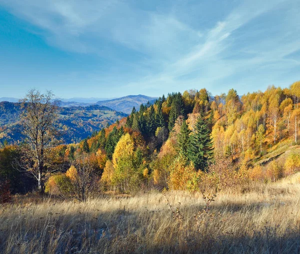 Tepe Üzerinde Renkli Ağaçlar Sonbahar Dağ Nimchich Geçidi Karpat Ukrayna — Stok fotoğraf