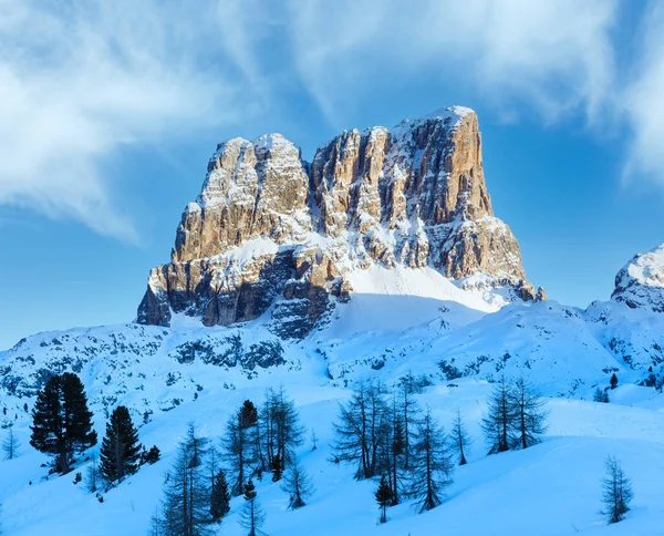 Wunderschöne Winterliche Berglandschaft Mit Tanne Hang Falzarego Pass Italien — Stockfoto