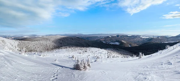 朝晴れた冬の山のパノラマ カルパティア ウクライナ — ストック写真