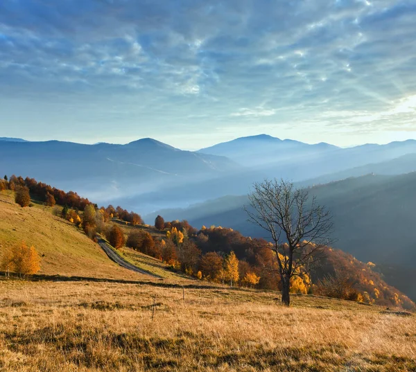 Landelijke Weg Kleurrijke Bomen Herfst Berghelling Zonnestralen Overheen — Stockfoto