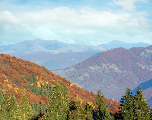 Outono Paisagem Montanhosa Nebulosa Com Árvores Coloridas Encosta Abetos Com — Fotografia de Stock