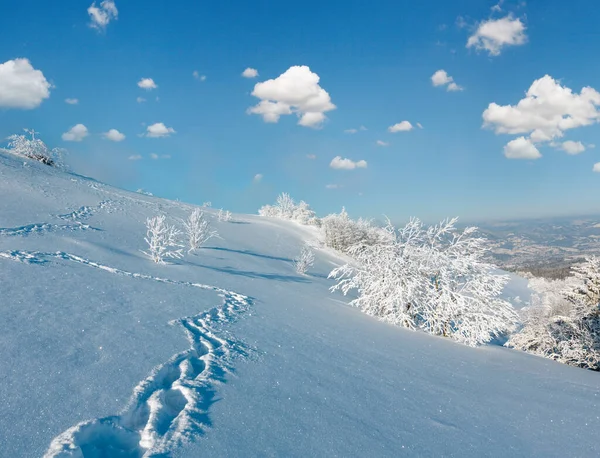 朝冬穏やかな美しいつや消し木歩道追跡のふきだまり斜面 カルパティア山脈 ウクライナと山の風景 — ストック写真