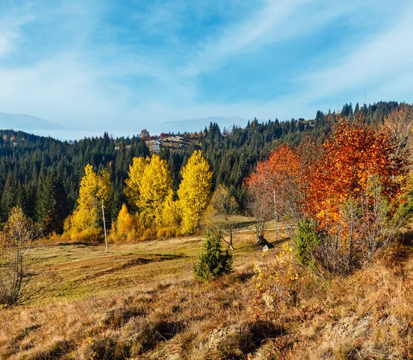 Φθινόπωρο Πλαγιές Πρωί Πολύχρωμα Δέντρα Από Καρπάθια Όρη Yablunytskyj Pass — Φωτογραφία Αρχείου
