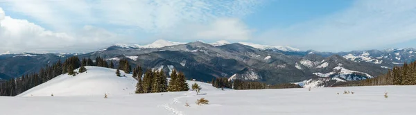Vista Pitoresca Montanha Inverno Caminho Alpino Com Pegada Skupova Encosta — Fotografia de Stock
