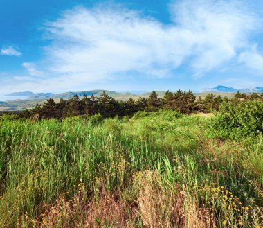 yaz puslu sahil görünümü (Kırım, Ukrayna)