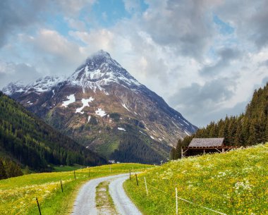 Çiçek açması eğimi ve ülke road (Silvretta Alpler, Avusturya ile yaz dağ manzarası).