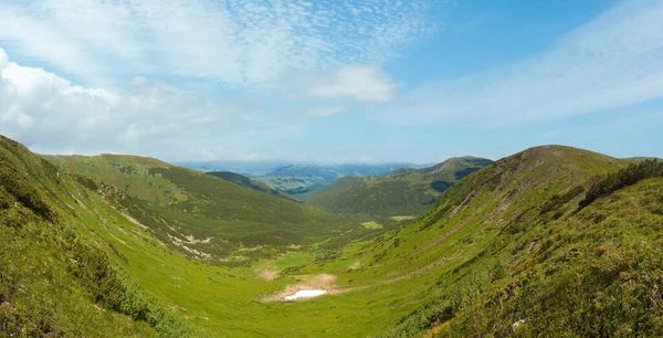Letní Horská Louka Panorama Pohled Jalovcovým Lesem Sníh Zůstává Hřebeni — Stock fotografie