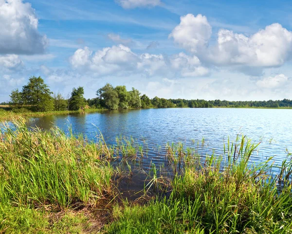 Літній Райдужний Вид Озеро Невеликим Гаєм Протилежному Березі — стокове фото