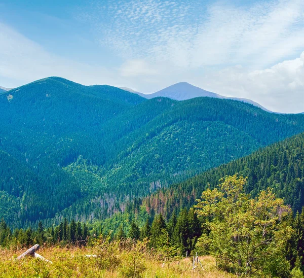 Sommer Neblige Berglandschaft Mit Tannenwald Goverla Berg Hinter — Stockfoto
