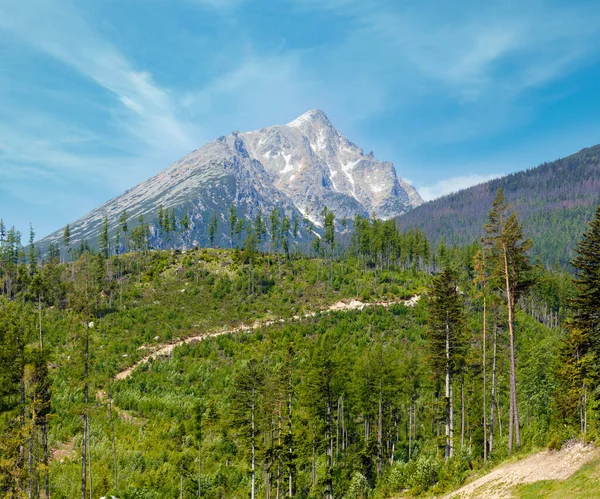 Haute Tatras Vue Printemps Avec Neige Sur Flanc Montagne Slovaquie — Photo