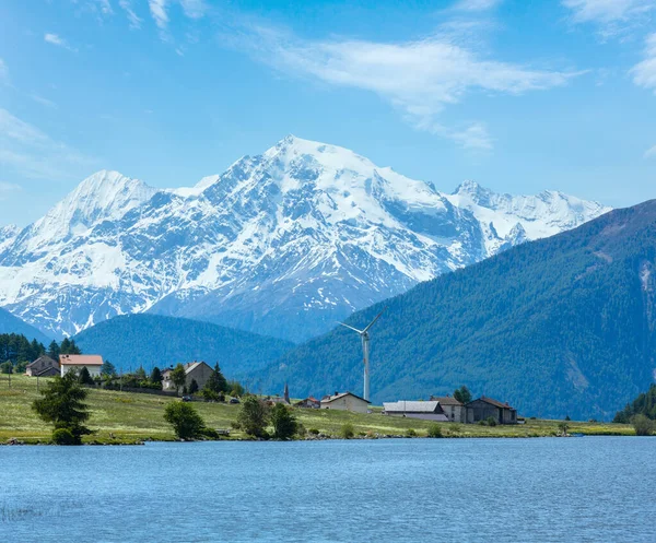Sommaren Reschensee Med Blommande Maskros Alpina Äng Italien — Stockfoto