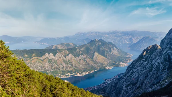 Bay Kotor Summer Misty View Pine Forest Slope Montenegro — Stock Photo, Image