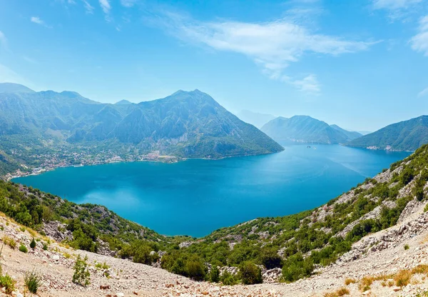 Fjärden Kotor Sommaren Panorama Kusten Staden Kotor Montenegro — Stockfoto