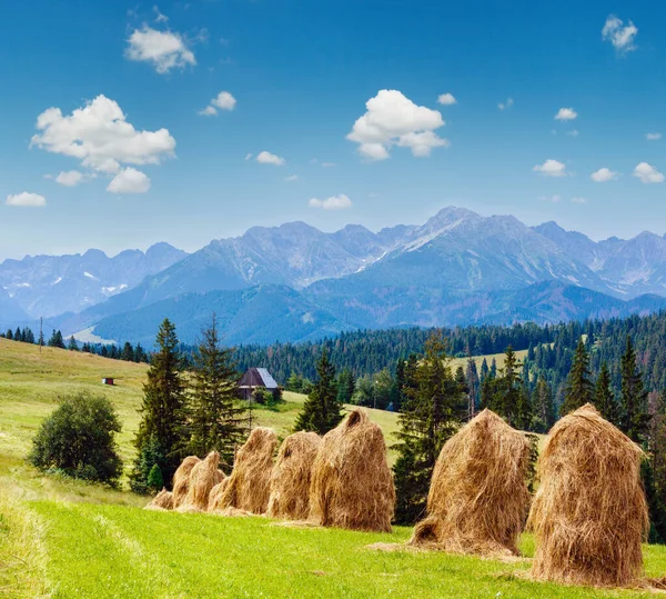 干草の山と後ろ ポーランドのタトラ範囲夏山村はずれ — ストック写真